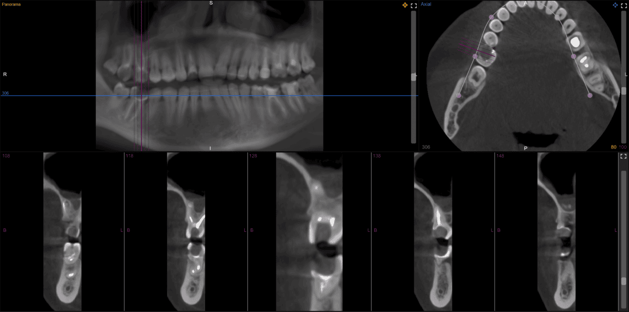 Color version of kittens in a basket looking around.